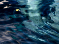 depth