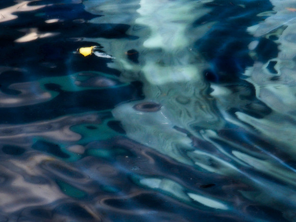 depth