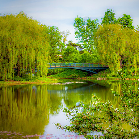 Summer Landscape
