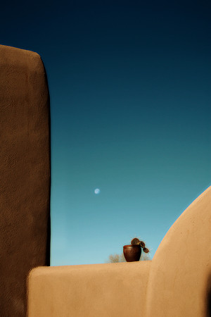 cactus moon 3