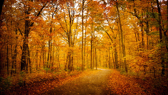 golden way