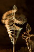 wind sculptures