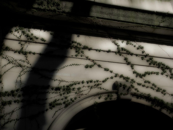 shadowed