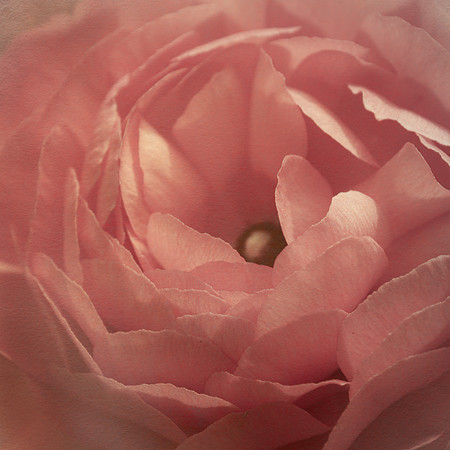 centered 2