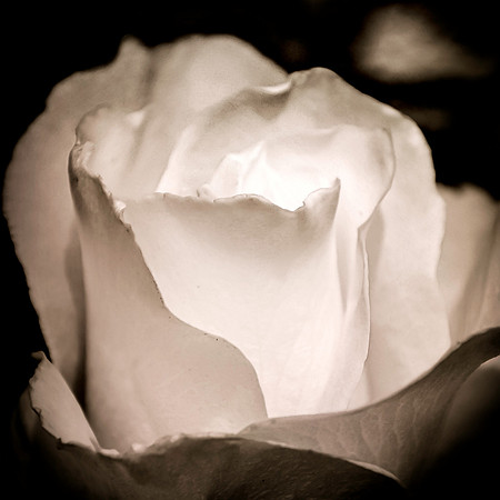inner light