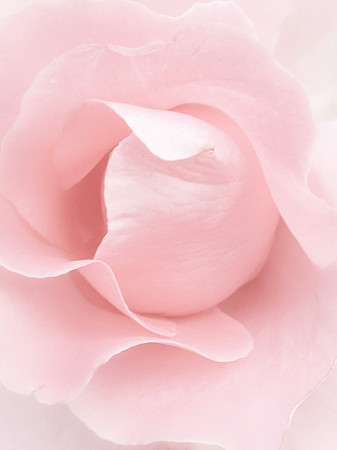 gentle