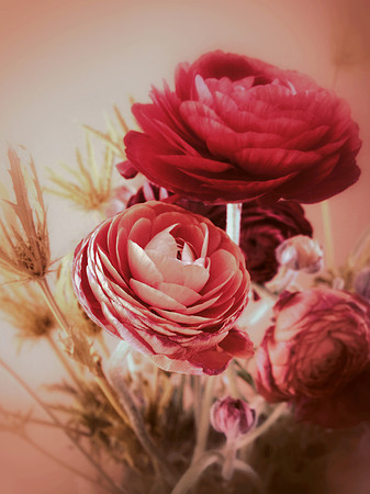 gift 2