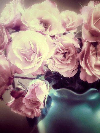 rosy