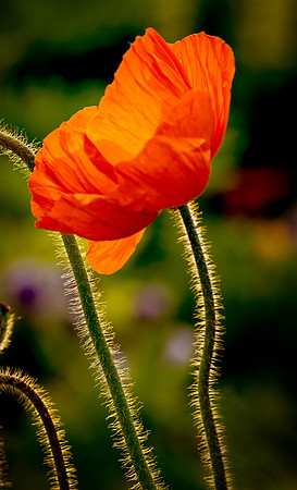 reaching
