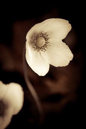 reverence