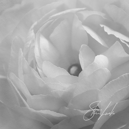 centered 3