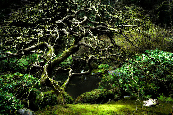 ancient