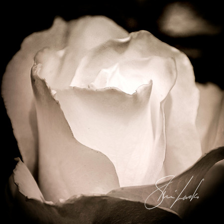 inner light