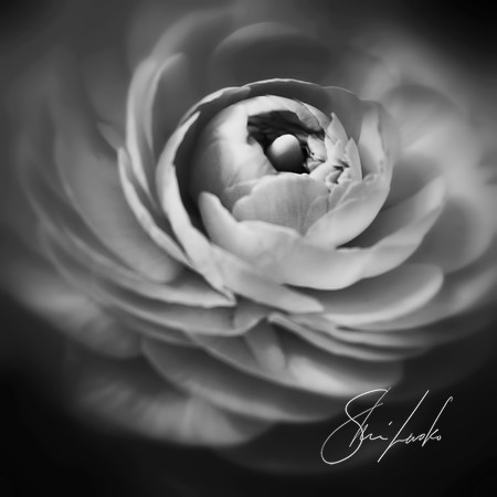 whirlwind