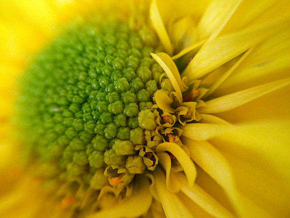 up close and...