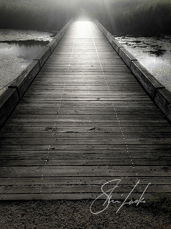 glowing bridge