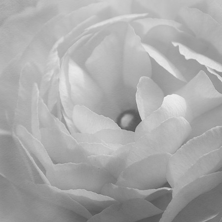 centered 3