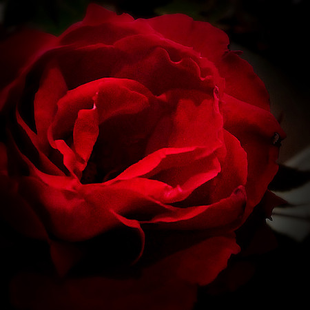 intensely dark