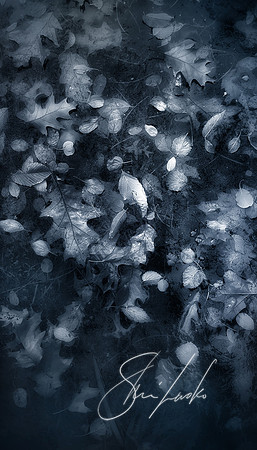 depth of nature
