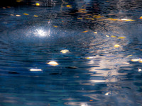 fountain