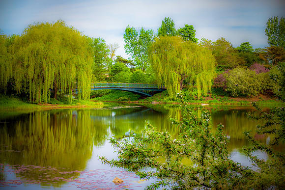Summer scene