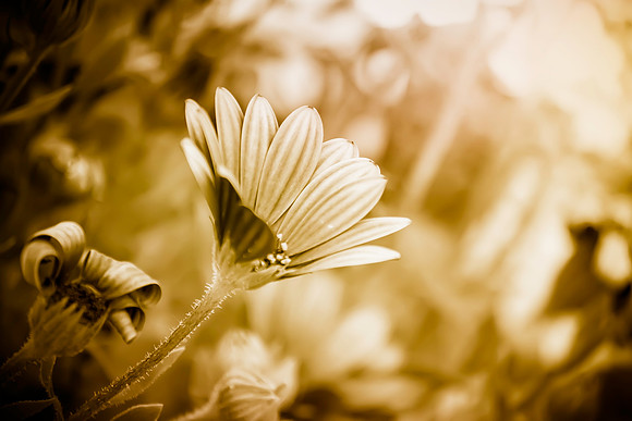 reaching