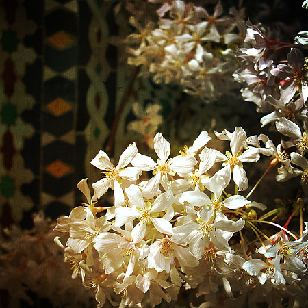 flower tile