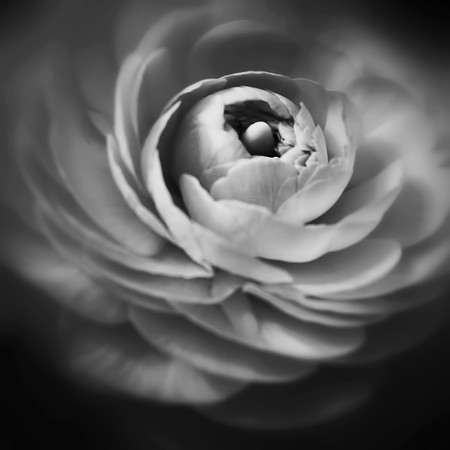 whirlwind