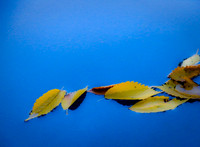 water and shadow