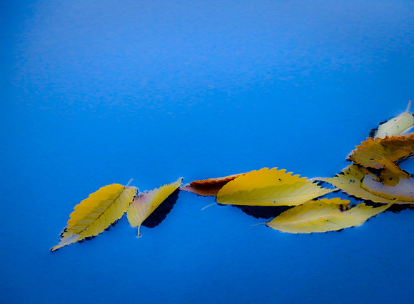 floating