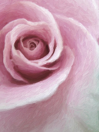 fragrance