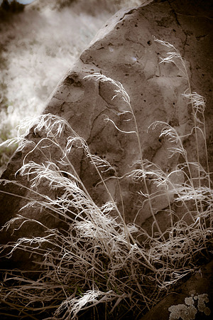 grass rock
