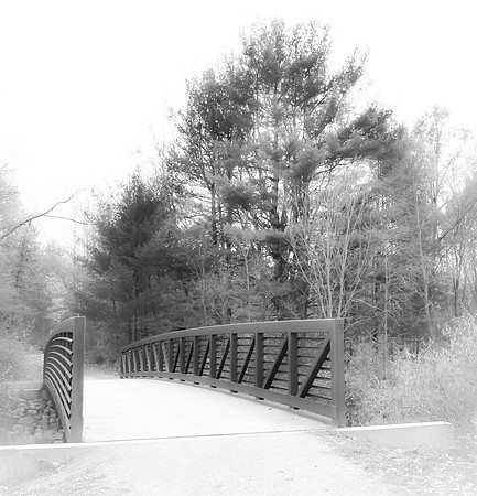 michigan bridge