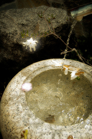 zen waters