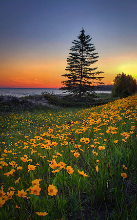 UP North Twilight