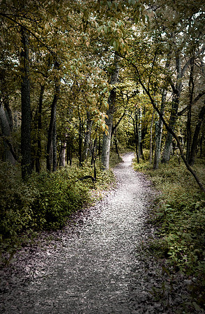 volo bog path