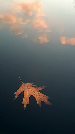 reflections