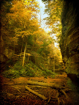 walled path
