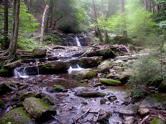 appalachian trail falls color