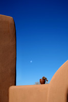 Cactus Moon