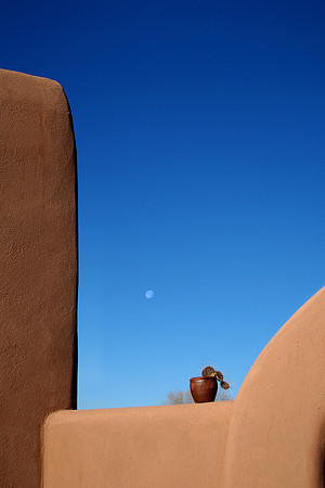 Cactus Moon