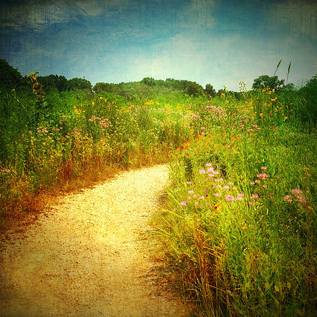 prairie path