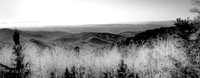 taos view