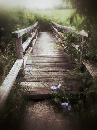 Misty Bridge