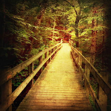 painted bridge