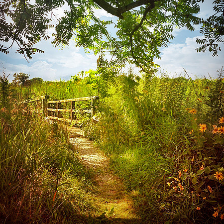 prairie bridge