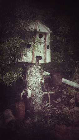 shelter