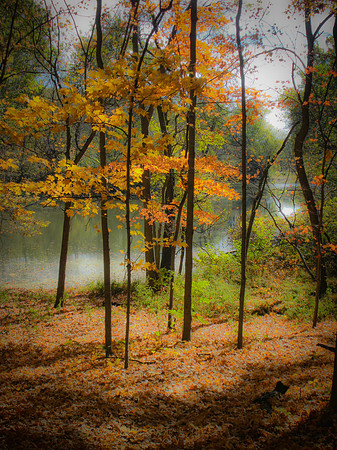 fullersburg woods fall