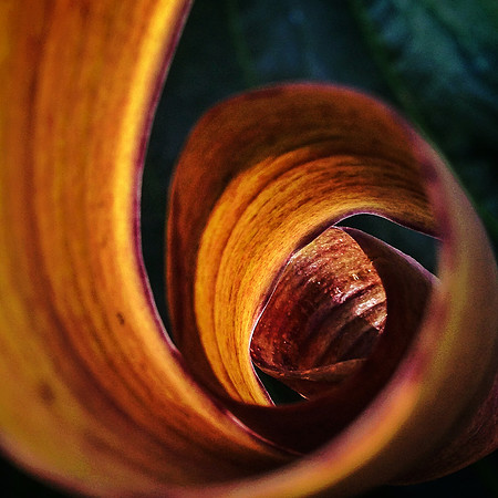 spiraling