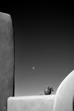 cactus moon 2